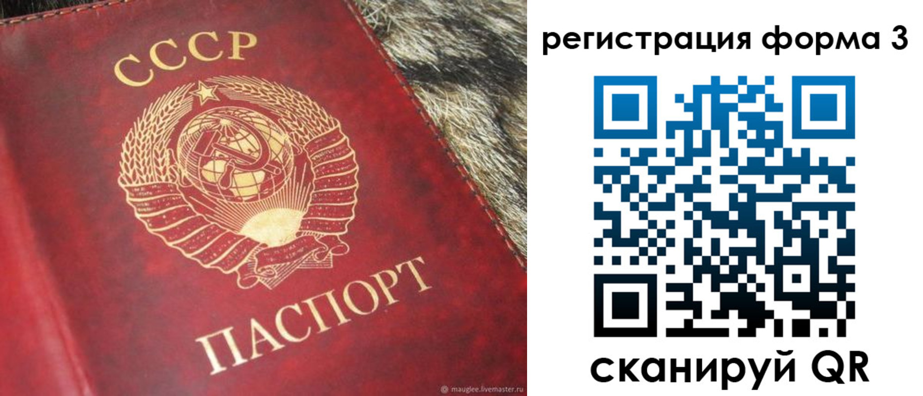 прописка регистрация в Ковылкино